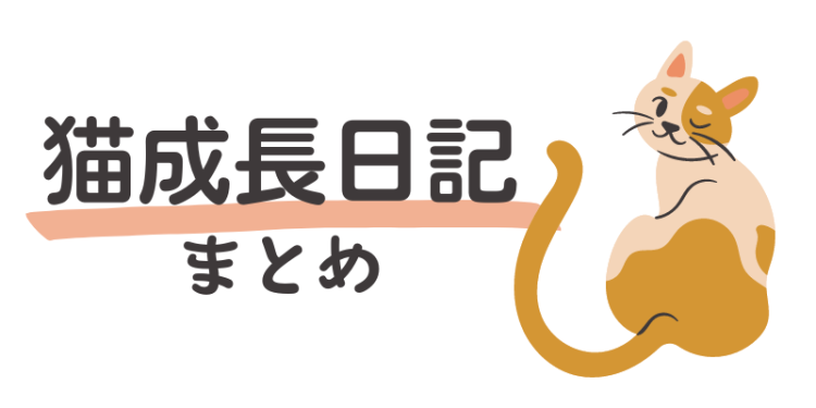ていねいなくらし